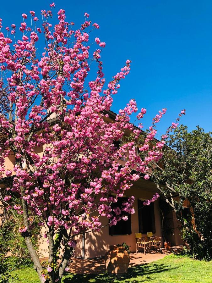 Opera Deluxe Bed & Breakfast Ravenna Bagian luar foto