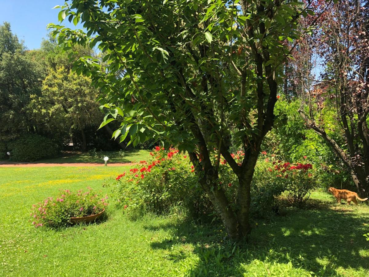 Opera Deluxe Bed & Breakfast Ravenna Bagian luar foto